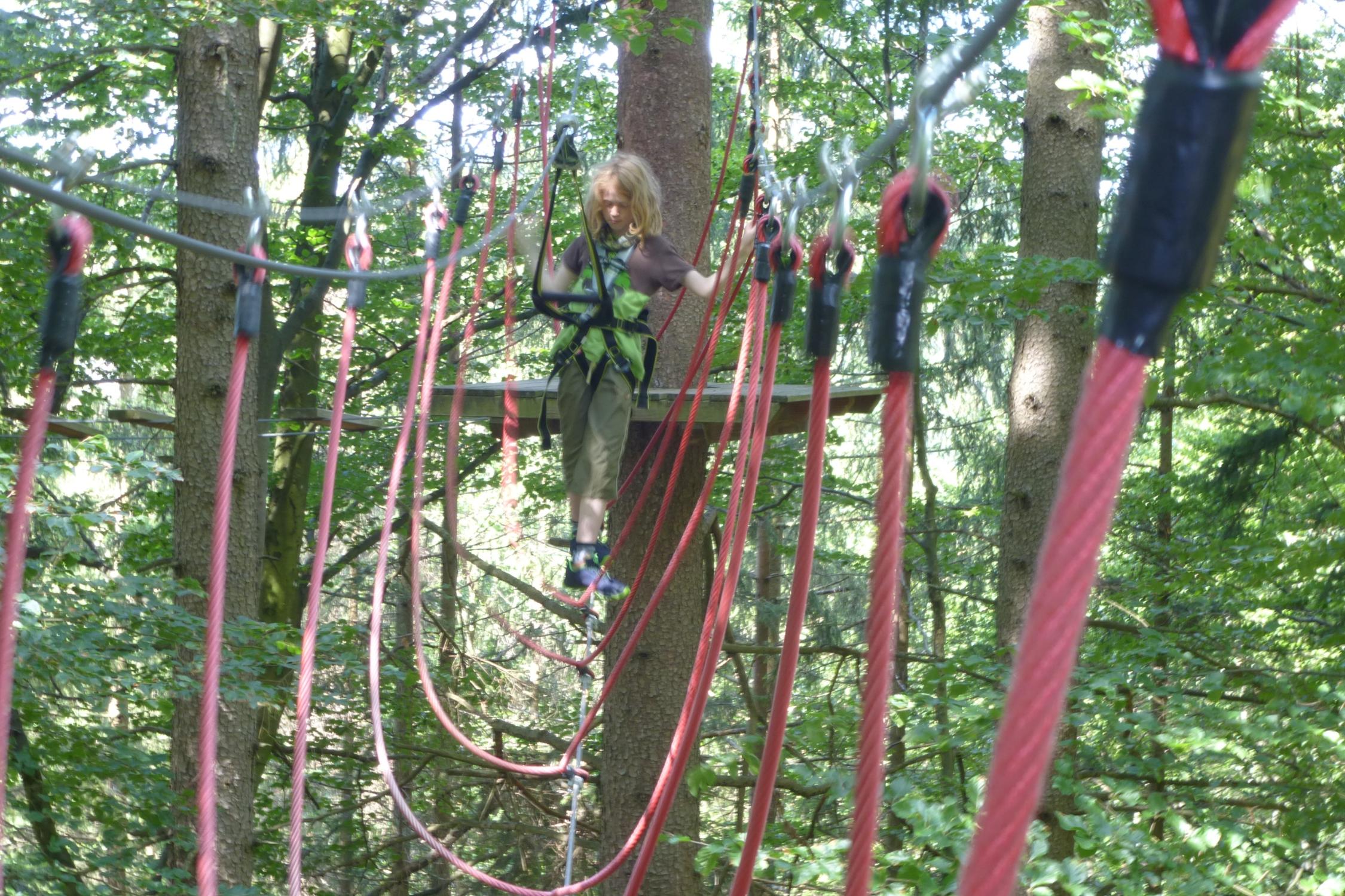 Kletterwald