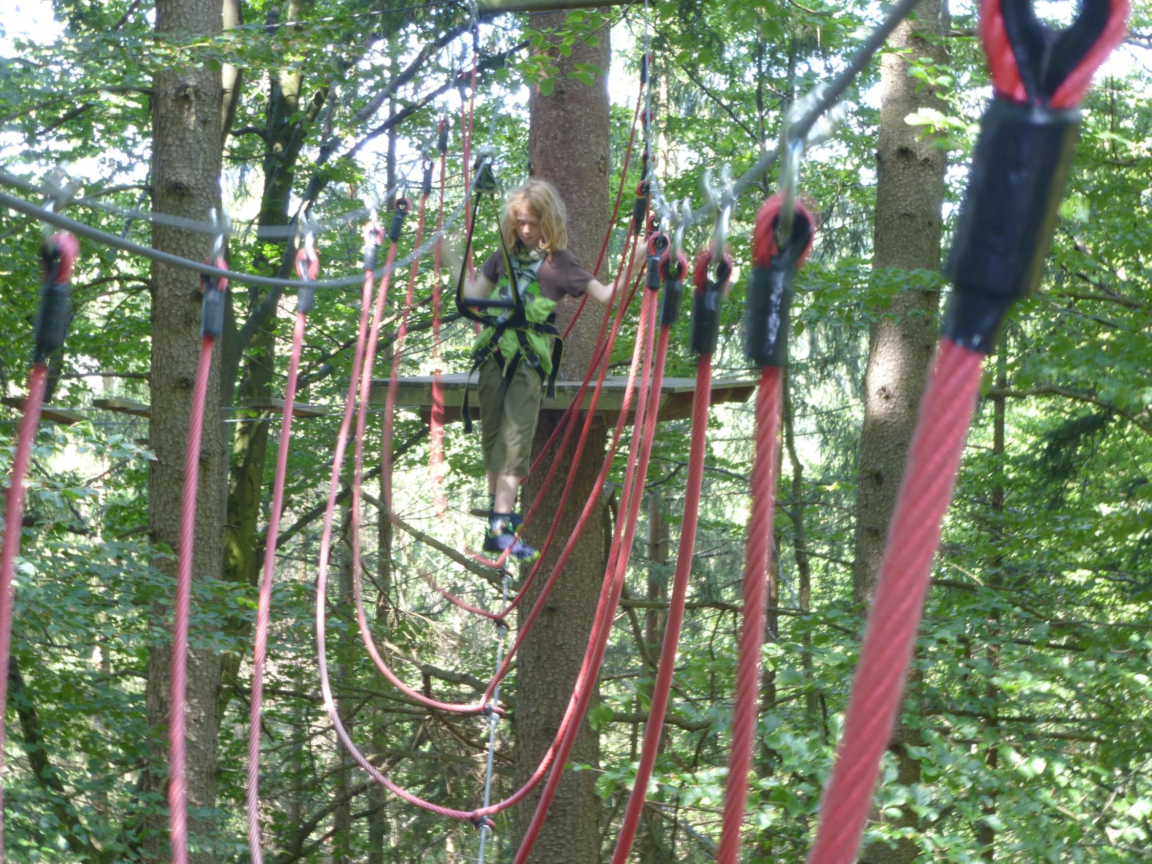 Kletterwald