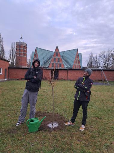 Baum pflanzen 3